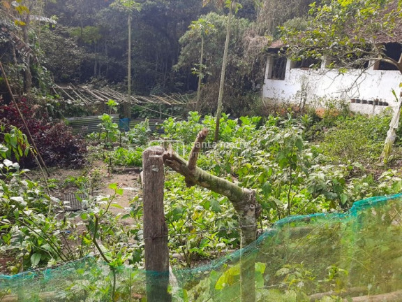 Imagem Imóvel com 2 Quartos à Venda, 1 m² em Bairro São José Do Retiro - Bananal