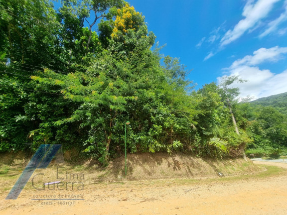 Imagem Terreno à Venda, 1.200 m² em Praia Do Pulso - Ubatuba Imagem Terreno à Venda, 1.200 m² em Praia Do Pulso - Ubatuba