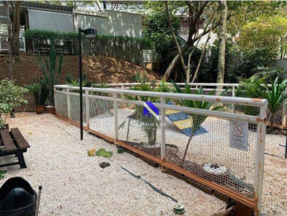 Imagem Apartamento com 2 Quartos à Venda, 75 m² em Vila Andrade - São Paulo Imagem Apartamento com 2 Quartos à Venda, 75 m² em Vila Andrade - São Paulo