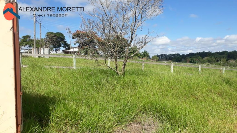 Imagem Chácara à Venda, 1.000 m² em Cercado - Araçoiaba Da Serra Imagem Chácara à Venda, 1.000 m² em Cercado - Araçoiaba Da Serra