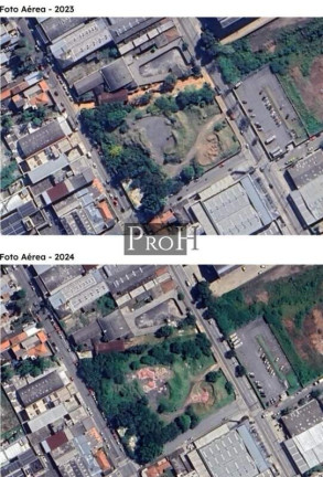 Terreno para Alugar, 7.685 m² em Campestre - Santo André