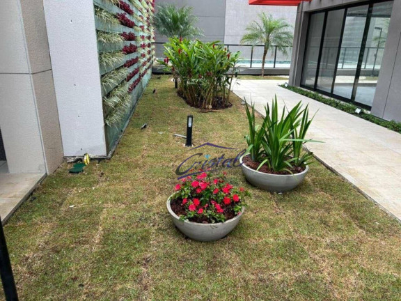Imagem Apartamento com 2 Quartos à Venda, 60 m² em Ipiranga - São Paulo Imagem Apartamento com 2 Quartos à Venda, 60 m² em Ipiranga - São Paulo