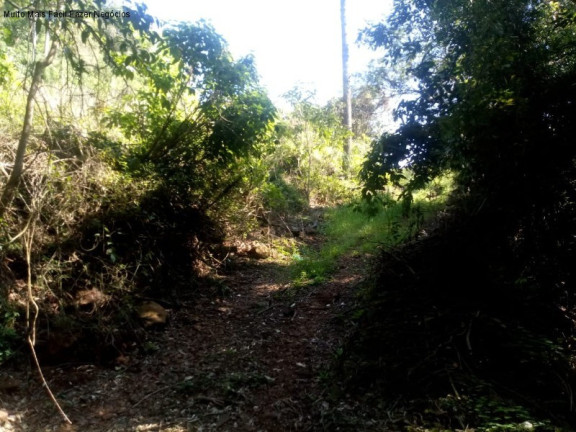 Imagem Terreno à Venda, 2 m² em Linha Temerária - Nova Petrópolis