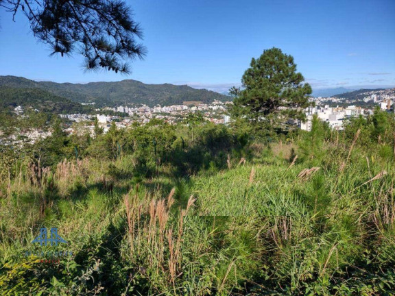 Imagem Terreno à Venda, 450 m² em Itacorubi - Florianópolis Imagem Terreno à Venda, 450 m² em Itacorubi - Florianópolis