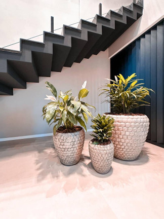 Imagem Casa com 3 Quartos à Venda, 302 m² em Sim - Feira De Santana