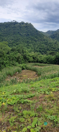 Imagem Imóvel à Venda, 130.932 m² em Zona Rural - Alfredo Wagner Imagem Imóvel à Venda, 130.932 m² em Zona Rural - Alfredo Wagner