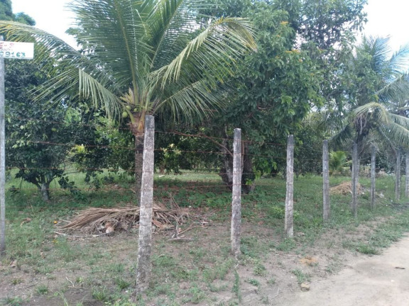 Imagem Terreno à Venda, 3.000 m² em Rural - Paudalho Imagem Terreno à Venda, 3.000 m² em Rural - Paudalho