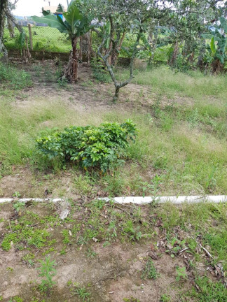 Imagem Chácara com 2 Quartos à Venda, 60 m² em Carmo Messias - Ibiúna