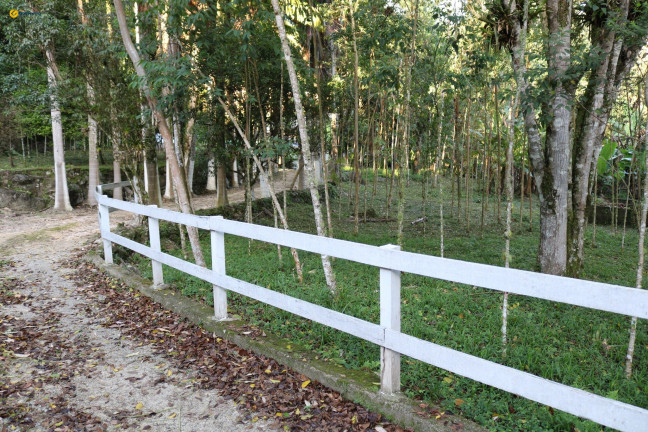 Imagem Fazenda à Venda, 72.924 m² em Sul Do Rio - Santo Amaro Da Imperatriz Imagem Fazenda à Venda, 72.924 m² em Sul Do Rio - Santo Amaro Da Imperatriz