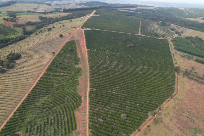 Fazenda à Venda, 41.140.000 m² em Zona Rural - Angatuba
