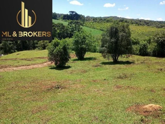 Imagem Imóvel à Venda, 10.000 m² em Centro - Bocaiuva Do Sul