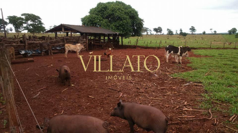 Imagem Fazenda à Venda, 80 m² em Setor Central - Caçu Imagem Fazenda à Venda, 80 m² em Setor Central - Caçu