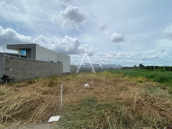 Imagem Terreno à Venda, 420 m² em Jardim Curitiba - Sinop Imagem Terreno à Venda, 420 m² em Jardim Curitiba - Sinop