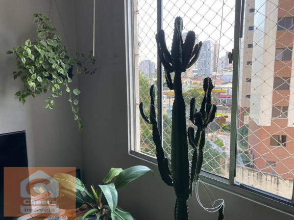Imagem Apartamento com 3 Quartos à Venda, 69 m² em Vila Mariana - São Paulo Imagem Apartamento com 3 Quartos à Venda, 69 m² em Vila Mariana - São Paulo