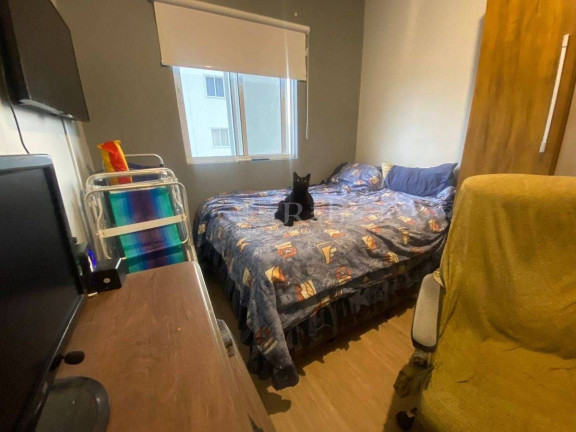 Imagem Apartamento com 2 Quartos à Venda, 52 m² em São Judas - Itajaí Imagem Apartamento com 2 Quartos à Venda, 52 m² em São Judas - Itajaí