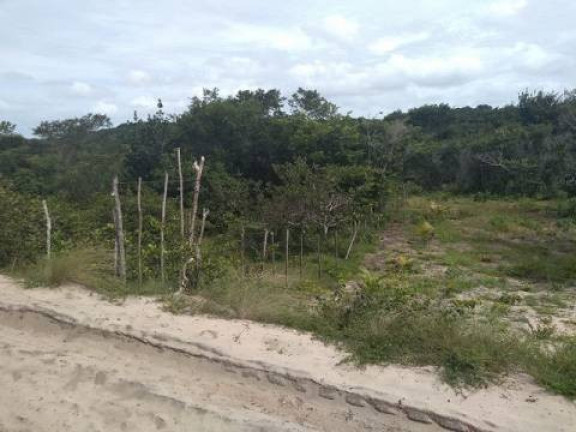 Imagem Terreno à Venda, 5 m² em Tibau Do Sul