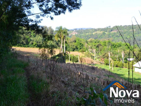 Imagem Imóvel à Venda, em Pinhal Alto - Nova Petrópolis Imagem Imóvel à Venda, em Pinhal Alto - Nova Petrópolis