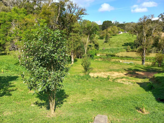 Imagem Chácara à Venda, 9.075 m² em Zona Rural - Quitandinha Imagem Chácara à Venda, 9.075 m² em Zona Rural - Quitandinha