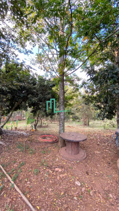 Imagem Imóvel com 4 Quartos à Venda, 5.006 m² em Morada Do Sol - Franca Imagem Imóvel com 4 Quartos à Venda, 5.006 m² em Morada Do Sol - Franca
