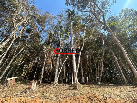 Imagem Casa com 3 Quartos à Venda, 1.185 m² em Tavares - Ibiúna Imagem Casa com 3 Quartos à Venda, 1.185 m² em Tavares - Ibiúna