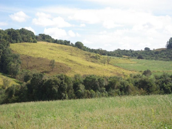 Imagem Imóvel à Venda, 435.600 m² em Zona Rural - Jacui Imagem Imóvel à Venda, 435.600 m² em Zona Rural - Jacui