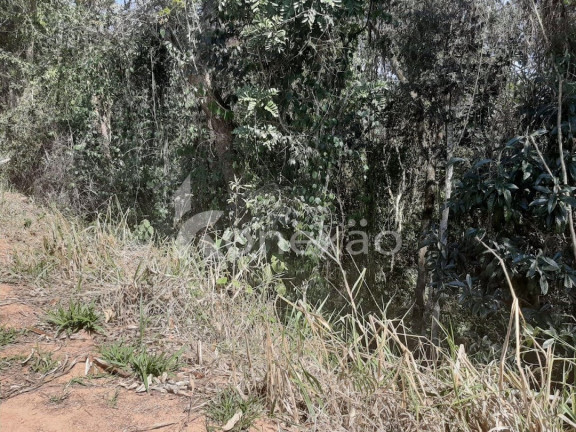 Imagem Chácara com 2 Quartos à Venda, 150 m² em Centro - Paraibuna Imagem Chácara com 2 Quartos à Venda, 150 m² em Centro - Paraibuna