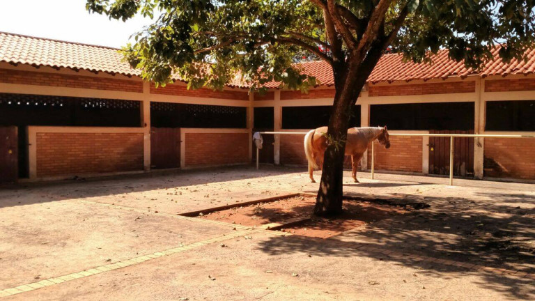 Imagem Chácara à Venda, 450 m² em Centro - Presidente Prudente Imagem Chácara à Venda, 450 m² em Centro - Presidente Prudente