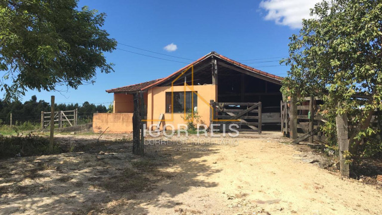 Imagem Fazenda à Venda, 244 m² em Araruama Imagem Fazenda à Venda, 244 m² em Araruama