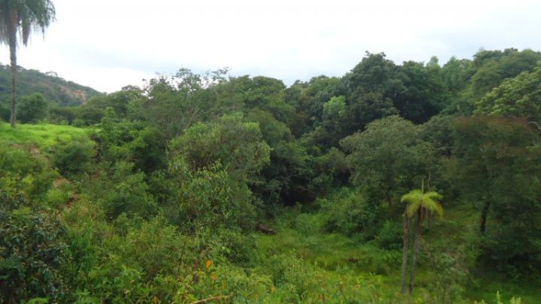 Imagem Fazenda à Venda, 60 m² em Azurita - Mateus Leme Imagem Fazenda à Venda, 60 m² em Azurita - Mateus Leme