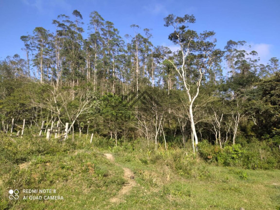 Imagem Chácara à Venda, 11 m² em Centro - Miracatu Imagem Chácara à Venda, 11 m² em Centro - Miracatu