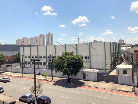 Imagem Galpão para Alugar,  em Limão - São Paulo