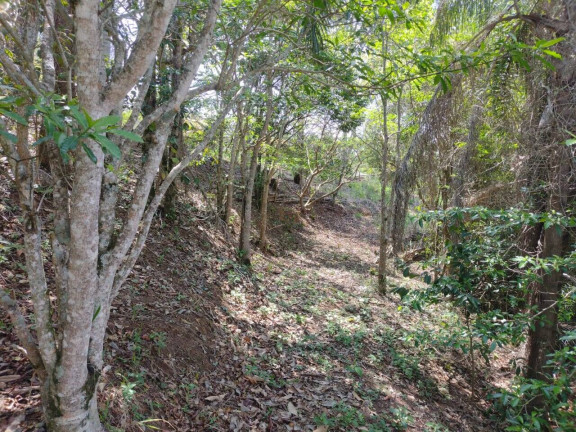 Imagem Chácara à Venda, 1.701 m² em Recanto Das Seriemas - Taubaté Imagem Chácara à Venda, 1.701 m² em Recanto Das Seriemas - Taubaté
