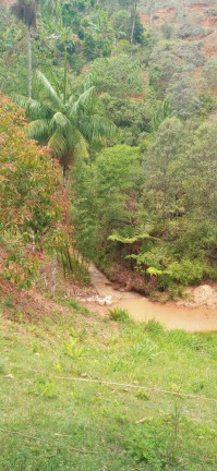 Imagem Chácara à Venda, 30.000 m² em Santa Maria De Marechal - Marechal Floriano Imagem Chácara à Venda, 30.000 m² em Santa Maria De Marechal - Marechal Floriano