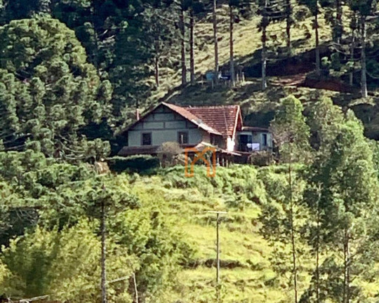 Imagem Fazenda à Venda, 2.813.700 m² em Biguá - Delfim Moreira Imagem Fazenda à Venda, 2.813.700 m² em Biguá - Delfim Moreira