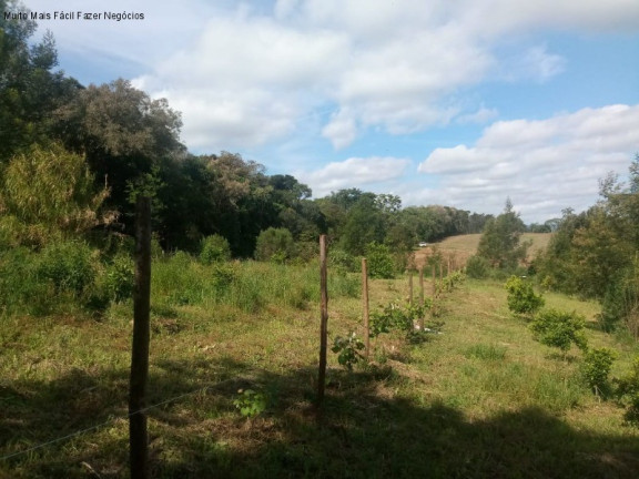 Imagem Terreno à Venda, 4 m² em Pinhal Alto - Nova Petrópolis