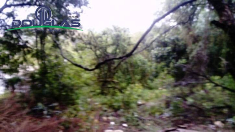 Imagem Terreno à Venda, 1.960 m² em Viamão Imagem Terreno à Venda, 1.960 m² em Viamão