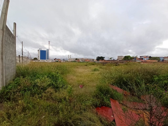Imagem Imóvel à Venda ou Locação, 7.500 m² em Jundiapeba - Mogi Das Cruzes Imagem Imóvel à Venda ou Locação, 7.500 m² em Jundiapeba - Mogi Das Cruzes
