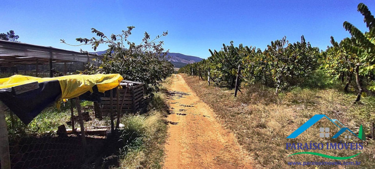 Imagem Chácara à Venda, 43 m² em Centro - Paraisópolis Imagem Chácara à Venda, 43 m² em Centro - Paraisópolis