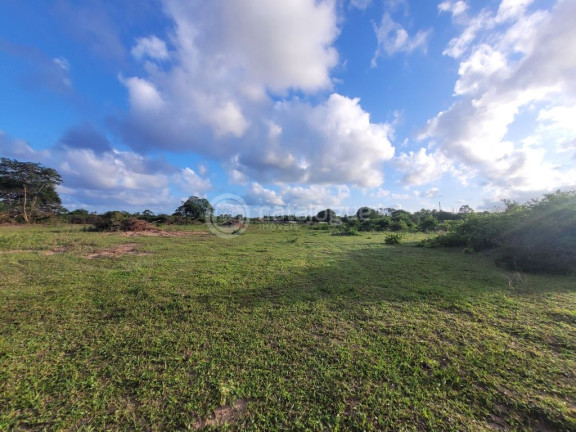 Imagem Terreno à Venda, 170.000 m² em Jardins - São Gonçalo Do Amarante Imagem Terreno à Venda, 170.000 m² em Jardins - São Gonçalo Do Amarante