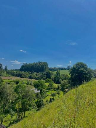 Imagem Fazenda à Venda, 240 m² em Zona Rural - Quitandinha Imagem Fazenda à Venda, 240 m² em Zona Rural - Quitandinha