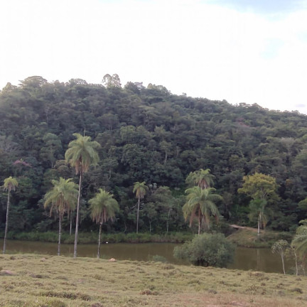 Imagem Imóvel com 8 Quartos à Venda, 32.000 m² em Curralinho - Igarapé