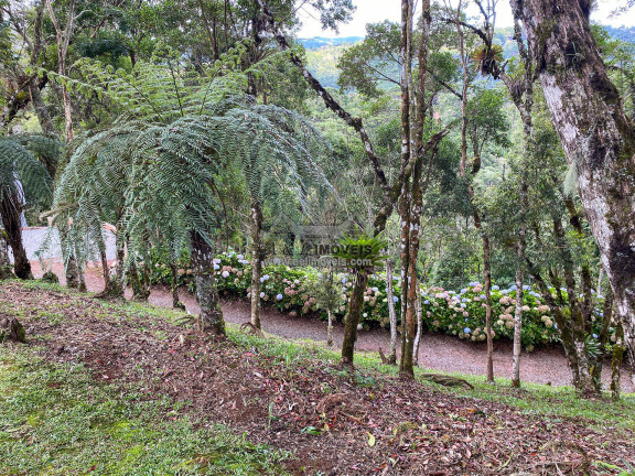 Imagem Terreno em Condomínio à Venda, 1 m² em Alto Do Vale Encantado - Campos Do Jordão Imagem Terreno em Condomínio à Venda, 1 m² em Alto Do Vale Encantado - Campos Do Jordão