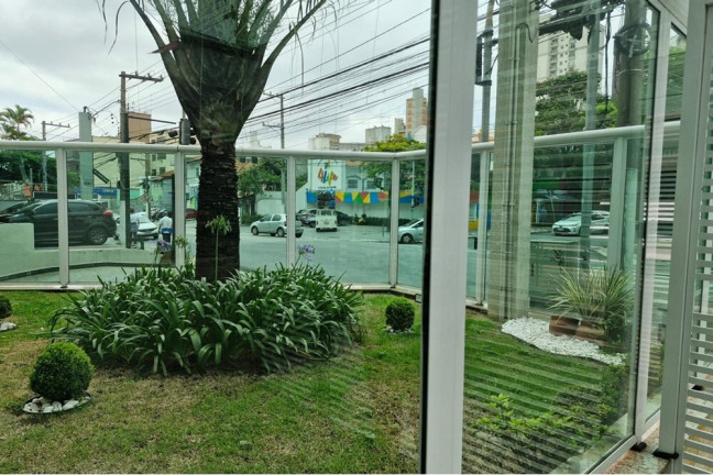 Imagem Apartamento com 3 Quartos à Venda, 82 m² em Tucuruvi - São Paulo Imagem Apartamento com 3 Quartos à Venda, 82 m² em Tucuruvi - São Paulo