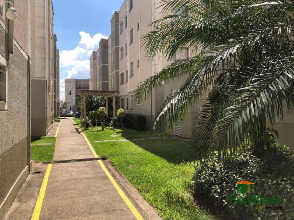 Imagem Apartamento com 2 Quartos à Venda, 52 m² em Jardim Santa Terezinha - São Paulo Imagem Apartamento com 2 Quartos à Venda, 52 m² em Jardim Santa Terezinha - São Paulo