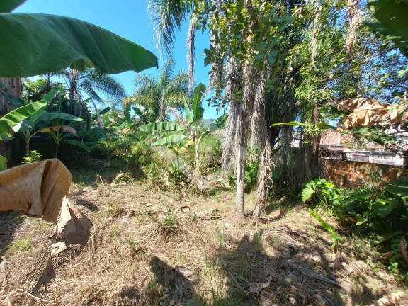 Imagem Ponto Comercial à Venda, 3.600 m² em Guaratiba - Rio De Janeiro Imagem Ponto Comercial à Venda, 3.600 m² em Guaratiba - Rio De Janeiro
