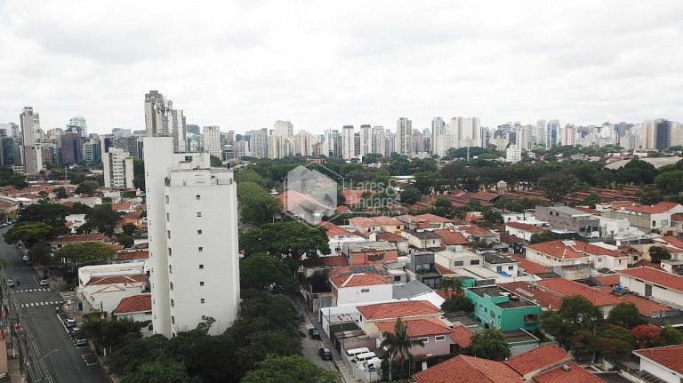Imagem Apartamento com 3 Quartos à Venda, 91 m² em Brooklin Paulista - São Paulo Imagem Apartamento com 3 Quartos à Venda, 91 m² em Brooklin Paulista - São Paulo