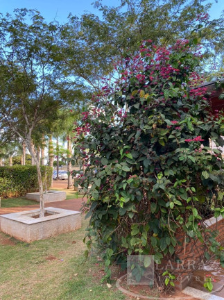 Imagem Imóvel com 2 Quartos à Venda, 57 m² em Parque Dos Lagos - Ribeirão Preto Imagem Imóvel com 2 Quartos à Venda, 57 m² em Parque Dos Lagos - Ribeirão Preto