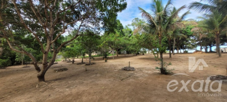 Imagem Chácara com 2 Quartos à Venda, 150 m² em Marbella - Serra