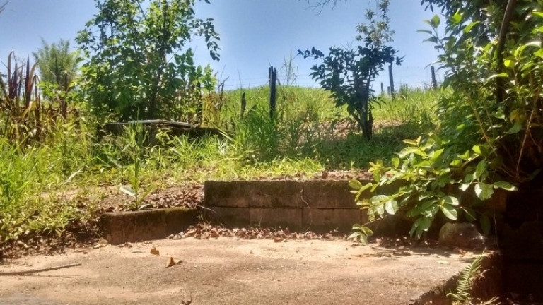Imagem Chácara com 2 Quartos à Venda, 1.000 m² em Chacara Santa Maria - Jacareí