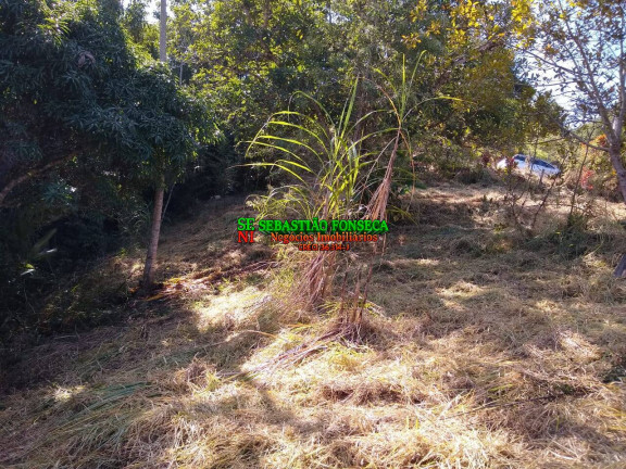 Imagem Chácara à Venda, 1.800 m² em Paraibuna